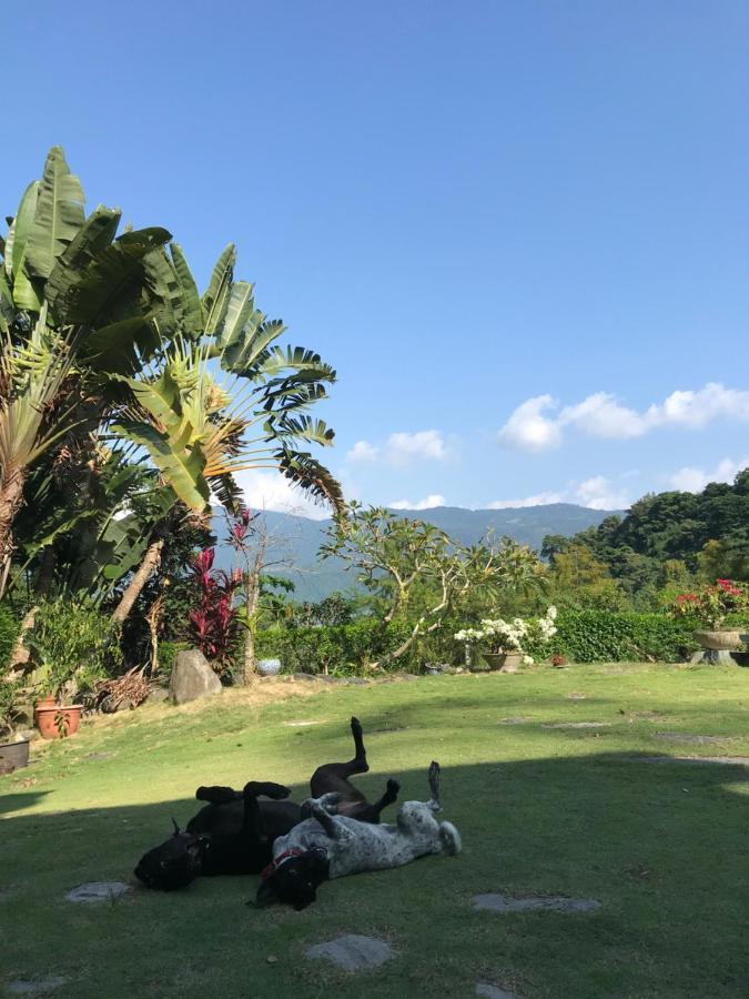 Wisdom Garden Home Stay Yuli Exterior photo
